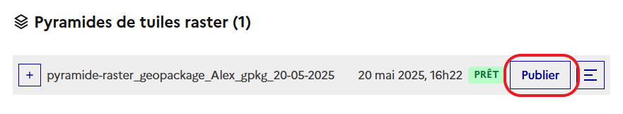 Image décrivant la création d’un service WMS-R à partir de la pyramide raster publiée