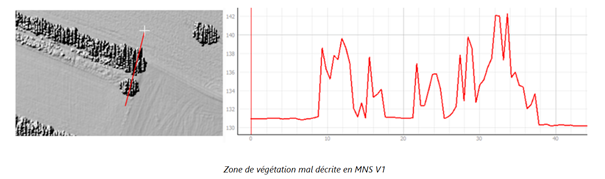 Zone de végétation mal décrite en MNS v1