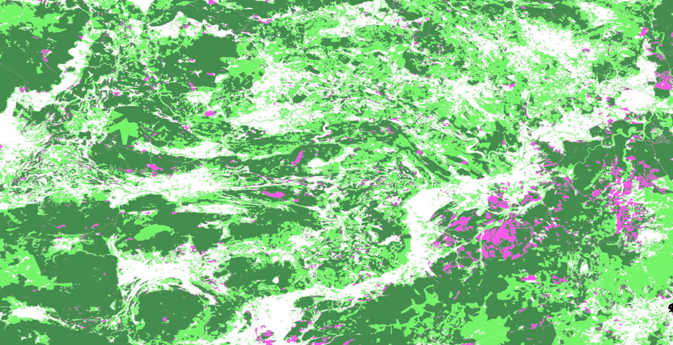 Exemple de BD Forêts anciennes®. En vert foncé ce sont le Forêts anciennes, en vert clair les forêts récentes, en rose les zones déboisées entre les deux dates.