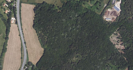 Forêt de Dordogne en 2021