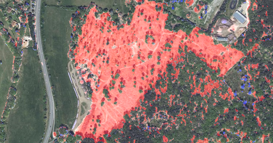 Différence du MNS sur une forêt de Dordogne entre 2021 et 2024